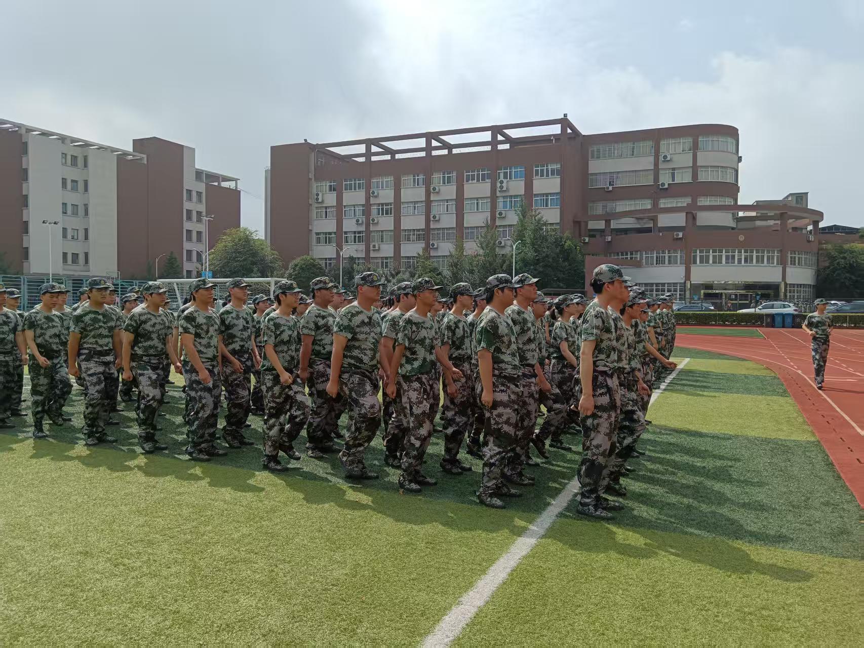 猫咪免费人成网站在线观看