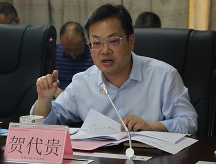 猫咪免费人成网站在线观看