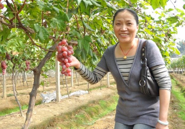 猫咪免费人成网站在线观看