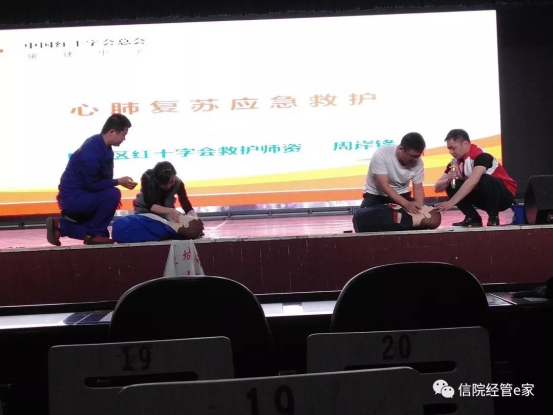 猫咪免费人成网站在线观看