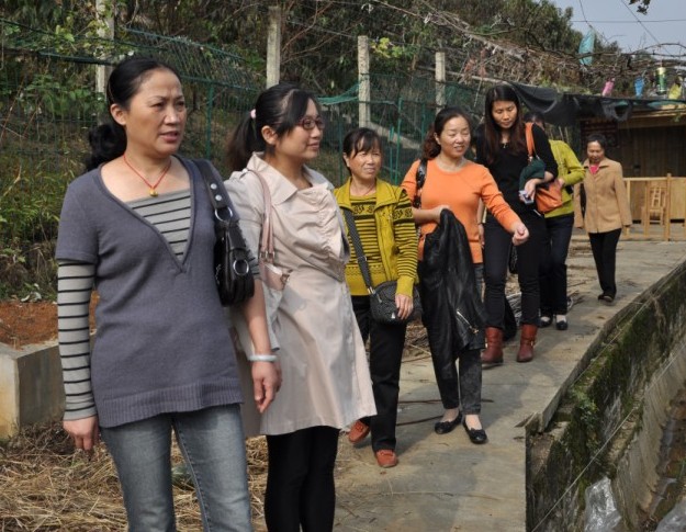 猫咪免费人成网站在线观看