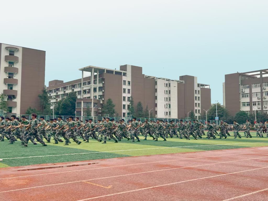 猫咪免费人成网站在线观看