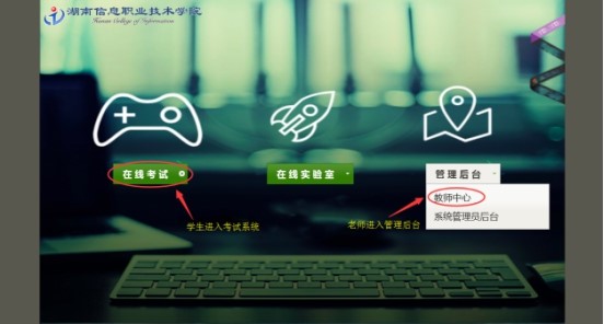 猫咪免费人成网站在线观看