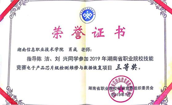 猫咪免费人成网站在线观看