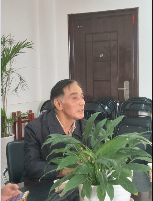 猫咪免费人成网站在线观看