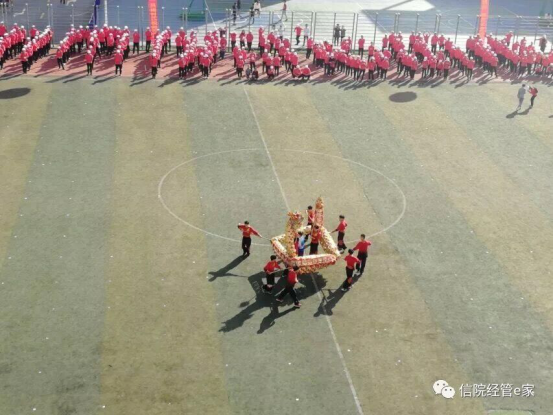 猫咪免费人成网站在线观看