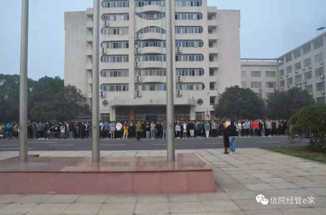 猫咪免费人成网站在线观看