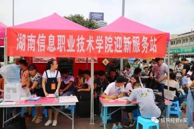 猫咪免费人成网站在线观看