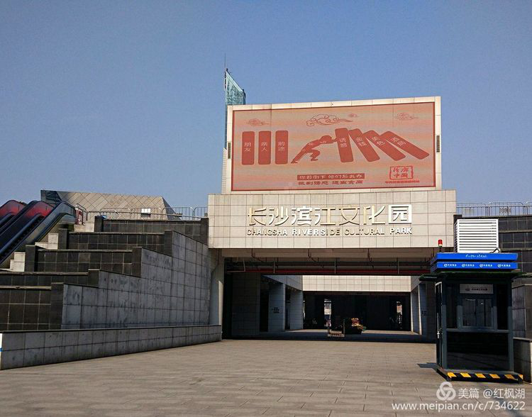 猫咪免费人成网站在线观看