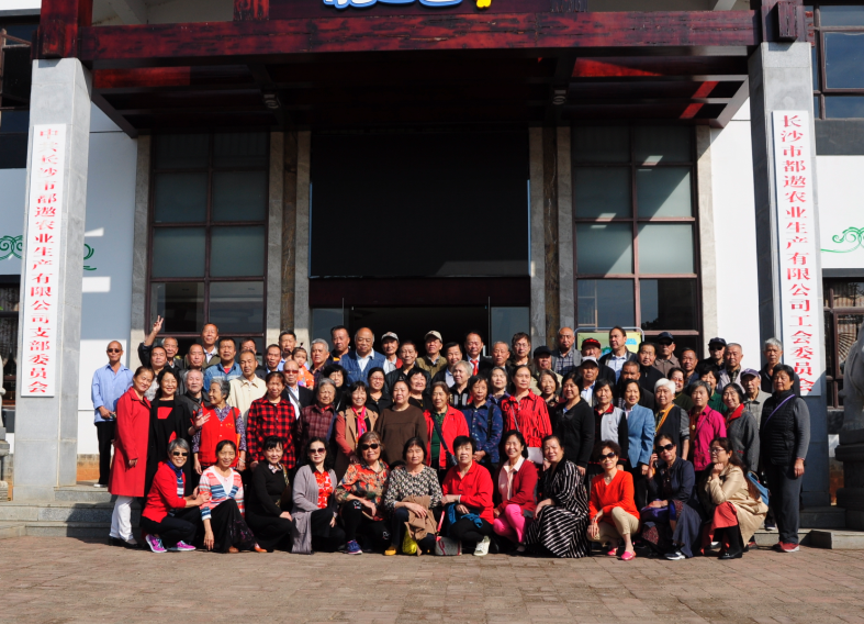 猫咪免费人成网站在线观看