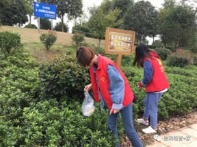 猫咪免费人成网站在线观看