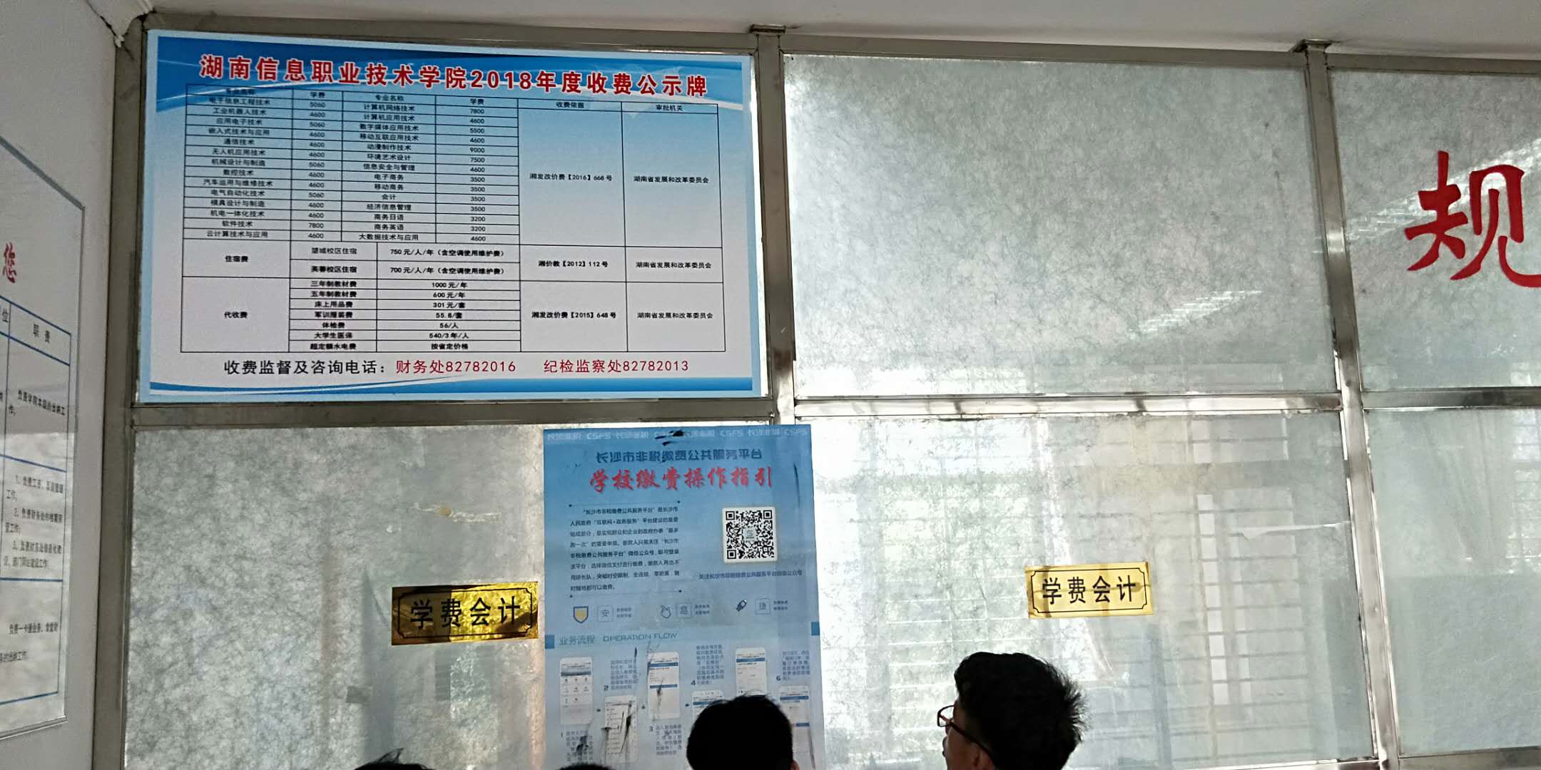 猫咪免费人成网站在线观看