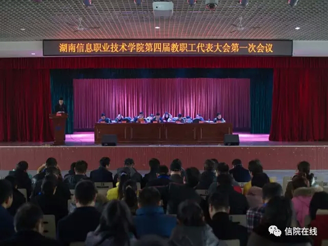 猫咪免费人成网站在线观看