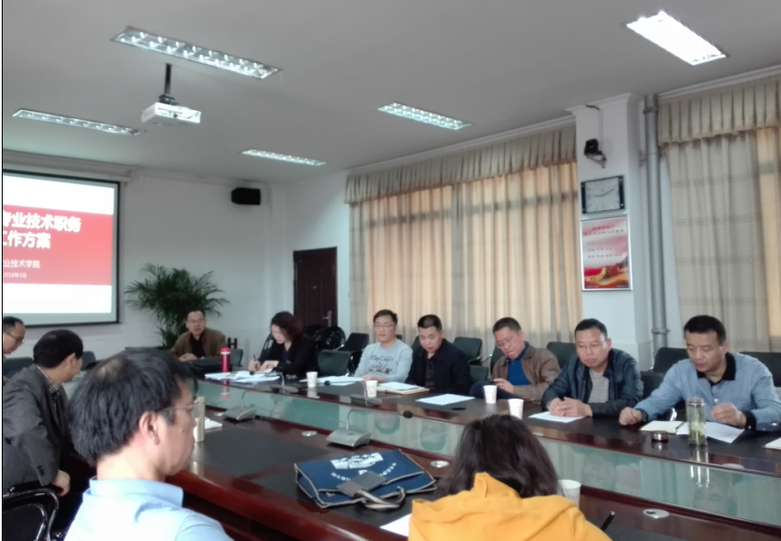 猫咪免费人成网站在线观看