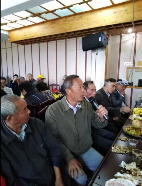 猫咪免费人成网站在线观看