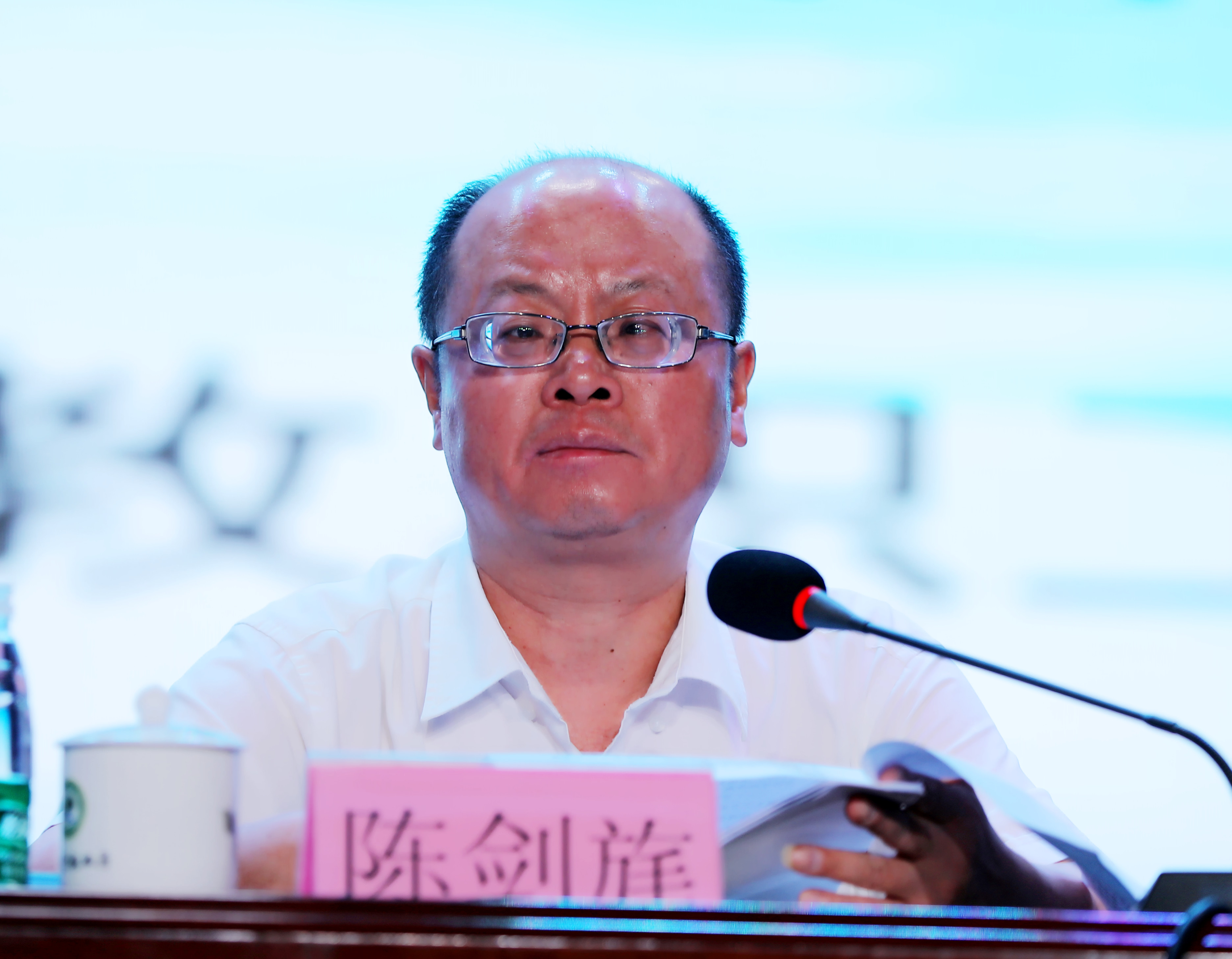 猫咪免费人成网站在线观看