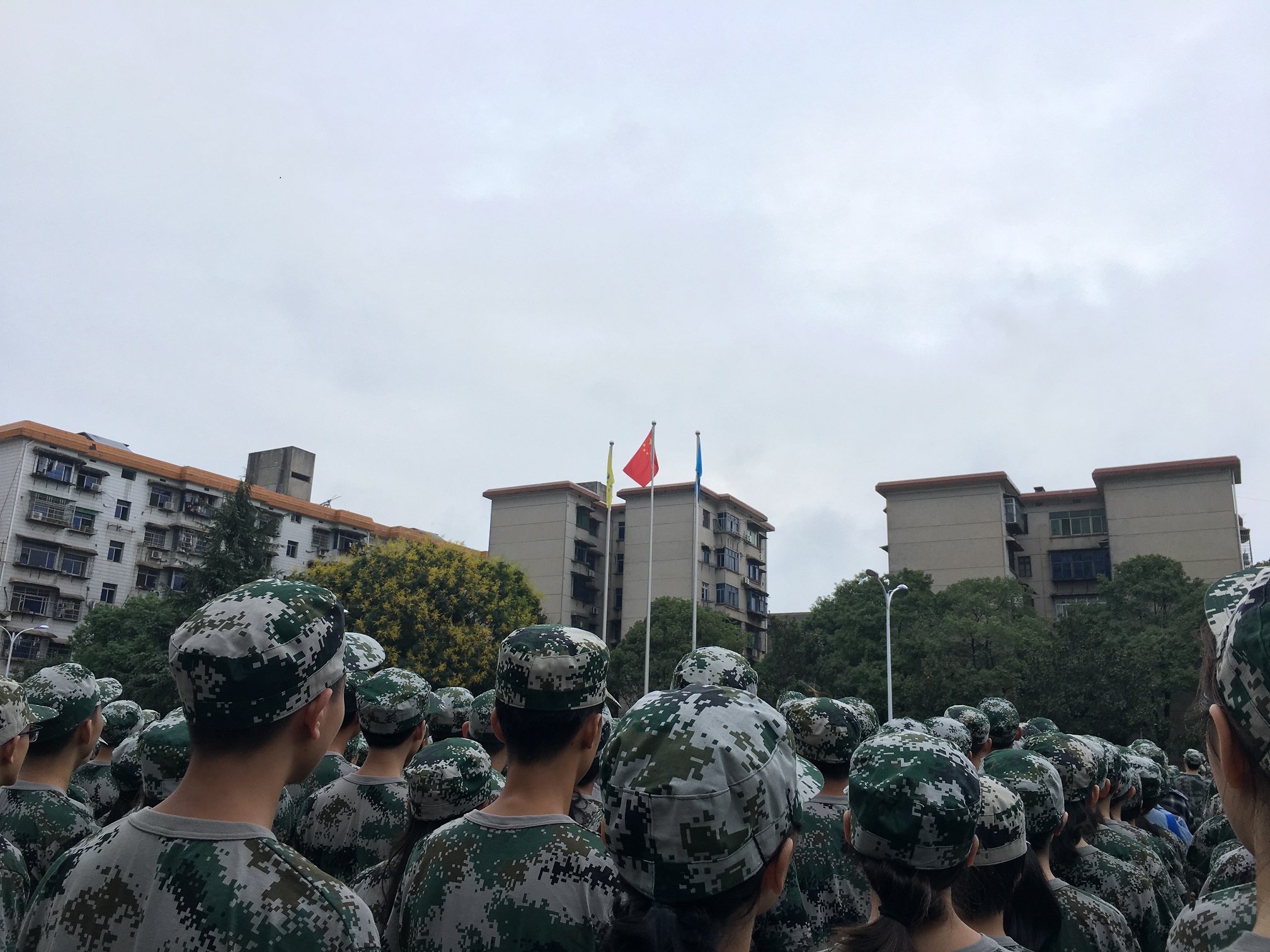 猫咪免费人成网站在线观看