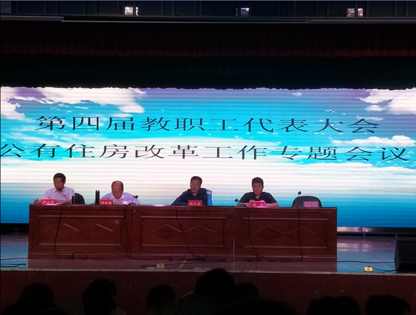 猫咪免费人成网站在线观看