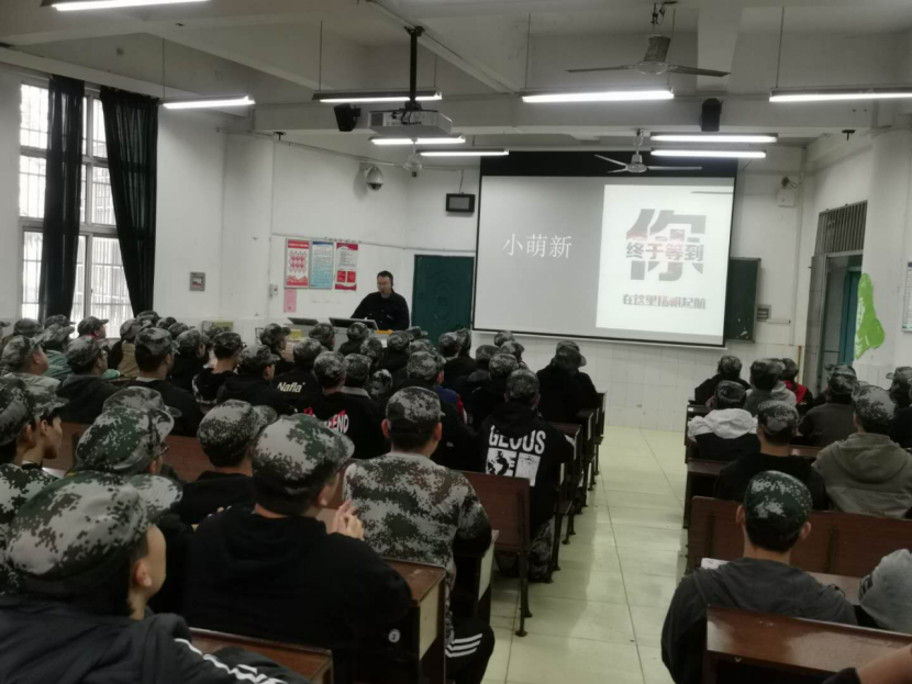 猫咪免费人成网站在线观看