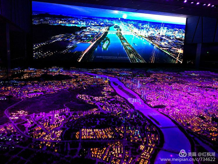 猫咪免费人成网站在线观看