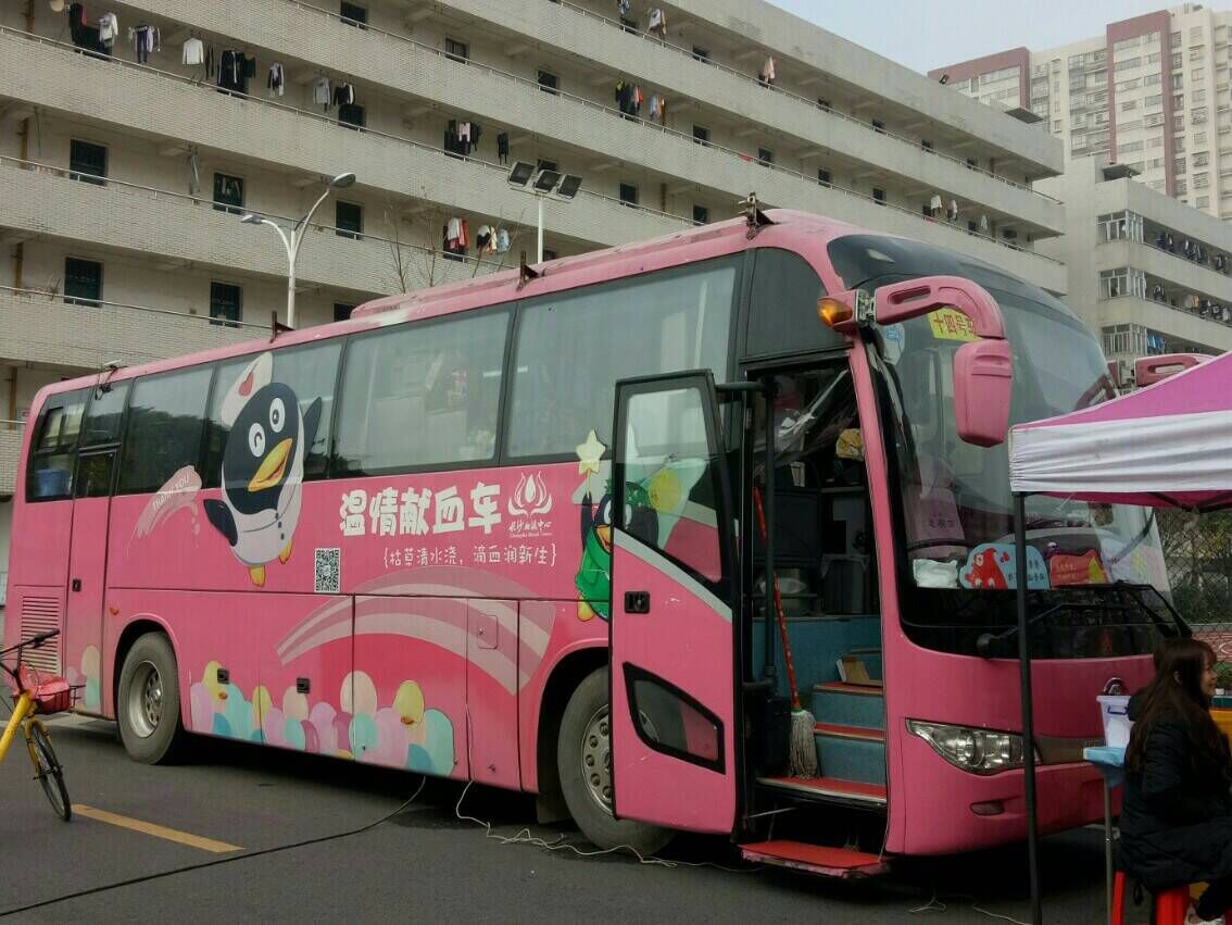 猫咪免费人成网站在线观看