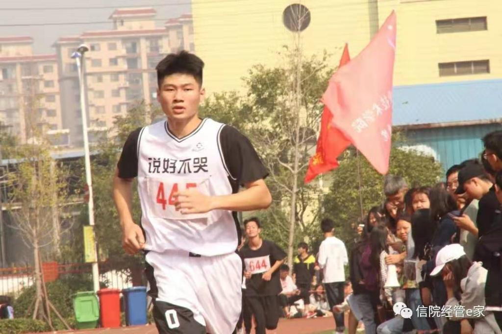 猫咪免费人成网站在线观看