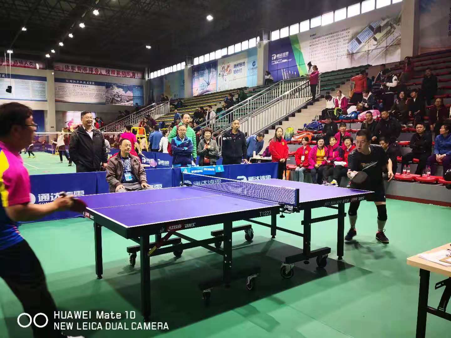 猫咪免费人成网站在线观看